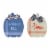 Northlight Set of 2 Blue and Beige Fall Harvest Wooden Pumpkin Welcome Plaques 8 Perspective: front