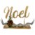 Northlight 11  Pine and Pine Cone  NOEL  Tabletop Christmas Decor Perspective: front