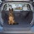 Petmaker 80-PET6045 Cargo Liner Dog Waterproof Seat Cover with Non-Slip Trunk Pet Travel Mat, Perspective: front