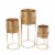 3 Piece Round Metal Planter with Tubular Base, Gold- Saltoro Sherpi Perspective: front