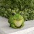 Cute Fat Frog Big Eyes Garden Flower Bed Decor Bright Green Bullfrog with Smile Perspective: front