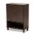 Dark Brown Finished Wood 2-Door Entryway Shoe Storage Cabinet With Bottom Shelf Perspective: front
