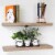 Willow & Grace Amanda 24 In Floating Wall Mount Shelves, Rustic Grey (6 Pack) Perspective: front