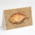 Carolines Treasures  8821GCA7P Flounder Greeting Cards and Envelopes Pack of 8 Perspective: front
