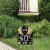 Big Dot of Happiness Adult 50th Birthday - Gold - Outdoor Lawn Birthday Party Yard Sign 1 Pc Perspective: front
