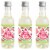 Big Dot of Happiness Sweet Watermelon Mini Wine Bottle Label Stickers Fruit Party Favor 16 Ct Perspective: front