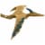 Jurassic World Dominion 12 Pteranodon Dinosaur Action Figure Perspective: front