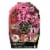 Mattel Monster High™ Skullmate Secrets™ Draculara™ Doll Set Perspective: front