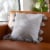 Safavieh Lonelli Pillow - Grey Perspective: front
