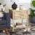 SAFAVIEH Ahab 2-Drawer 1 Shelf Accent Table Light Blonde / Gold Perspective: front