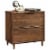 Pemberly Row 2 Drawer Lateral File Cabinet in Grand Walnut Perspective: front