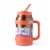 Manna™ Sawyer™ Stainless Steel Bottle - Coral Perspective: front