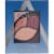 ALM ES INTENSE I-CLR PALETTE 5CT BLUE Perspective: front