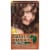 Clairol Natural Instincts Hot Cocoa 26 Hair Color Perspective: front