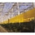 Catchy 33FT double Sided Fly Trap Film Perspective: front
