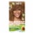 Garnier Nutrisse Nourishing Permanent Hair Color 73 Dark Golden Blonde Perspective: front