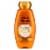Garnier Whole Blends™ Moroccan Argan & Camellia Oils Illuminating Shampoo Perspective: front