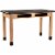 NPS Signature Series 72 Wood Science Lab Table With Chem-Res Top In Oak