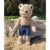 Bear Jean Shorts Perspective: front