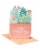 American Greetings #61 Mother's Day Card (Potted Succulents) Perspective: front