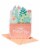American Greetings #61 Mother's Day Card (Potted Succulents) Perspective: front