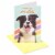 American Greetings Birthday Card - Nothing But Smiles (#39) Perspective: front