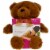 Spa Comforts Cozy Critters Microwavable Aromatherapy Buddy Bear Perspective: front