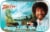 Bob Ross® Happy Little Tree Mints Perspective: front