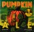 Foothills Brewing Pumpkin Ale Perspective: front