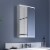 ExBrite 15 in. W x 26 in. H LED Bathroom Light Narrow Medicine Cabinet with Mirror Left Side Perspective: front
