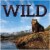 2022 Wild Wall Calendar by TF Publishing Perspective: front
