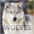 2022 Wolves Wall Calendar Perspective: front