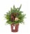 BLOOM HAUS™ Christmas Greenery in Blue Tin Planter Perspective: front
