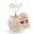 Moyers Farm Cinnamon Bun Gourmet Chocolate Caramel Apple Perspective: front