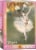 Ballerina by Edgar Degas 1000 Piece Jigsaw Puzzle Perspective: front