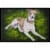 Carolines Treasures AMB1045JMAT Isabella Greyhound Doormat 24x36 Perspective: front