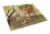 Carolines Treasures BDBA0307LCB Lion and Cubs by Daphne Baxter Glass Cutting Bo Perspective: front