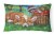 Corgi with the Racoon Apple Thief Canvas Fabric Decorative Pillow Perspective: front
