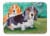 Basset Hound Double Trouble Machine Washable Memory Foam Mat Perspective: front