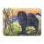 Carolines Treasures  SS7005RUG Chow Chow Machine Washable Memory Foam Mat Perspective: front