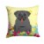 Carolines Treasures BB6006PW1414 Easter Eggs Pug Black Fabric Decorative Pillow Perspective: front