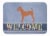 Irish Terrier Welcome Machine Washable Memory Foam Mat, Blue Perspective: front