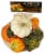 Fresh Grown Mini Gourds Bag - Each Perspective: front