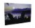 Lighted Canvas Otter Way Fish Shore by Cherie Serrano 17.75 Inches Long Perspective: front