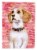 Carolines Treasures BB9773CHF Beagle Love House Flag, Red Perspective: front