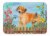 Carolines Treasures  CK1238RUG Rhodesian Ridgeback Spring Machine Washable Memor Perspective: front