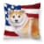 Carolines Treasures  BB9678PW1414 Shiba Inu Patriotic Fabric Decorative Pillow Perspective: front