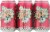 Ska Brewing Co. Pink Vapor Stew Sour Flavored Ale Perspective: front