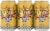 Ska Brewing Co. Tropical Hazy IPA Beer Perspective: front
