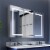 ExBrite 48  W x 32  H LED Lighted Bathroom Medicine Cabinet with Mirror Recessed or Surface Perspective: front